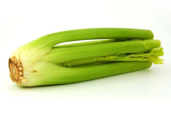 Can Tortoises Eat Celery? A Comprehensive Guide to Feeding Your Pet Tortoise