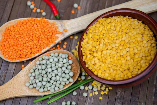 Can Guinea Pigs Eat Lentils? The Pros and Cons of This Tasty Temptation!