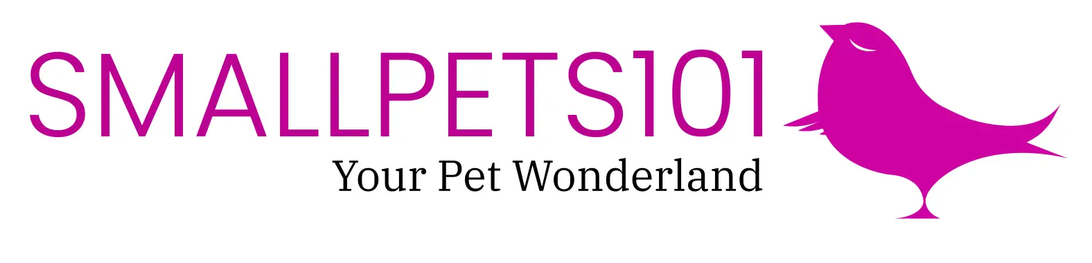 www.smallpets101.com